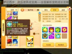 梦幻西游：成品宠养成宝典——全面解析宠物成长攻略