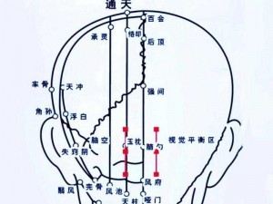 英语老师的兔耳朵真软，戴着特别舒服，而且还能按摩头部穴位