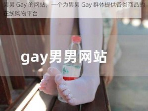 男男 Gay 的网站，一个为男男 Gay 群体提供各类商品的在线购物平台