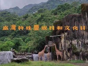 台湾驾牛车免费开放时间：体验台湾乡村风光，了解当地文化