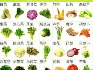 生存之道：食物种植与食品合成完全攻略宝典