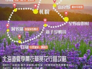 薰衣草研究所入口隐藏 2024：探寻神秘薰衣草的奇妙世界