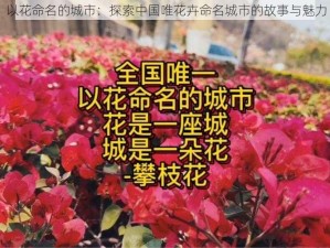 以花命名的城市：探索中国唯花卉命名城市的故事与魅力