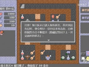 拯救公主：攻略解读3D魔塔第14层通关秘籍