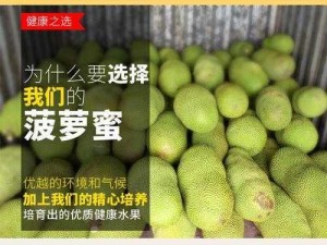 菠萝菠萝蜜在线看 7，高清流畅无广告，精彩内容抢先看