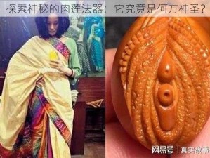 探索神秘的肉莲法器：它究竟是何方神圣？