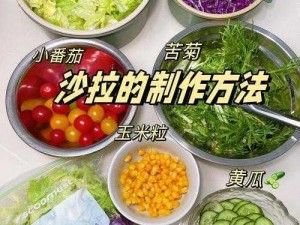 幻塔蔬菜沙拉制作教程：轻松掌握蔬菜沙拉的制作方法与秘诀