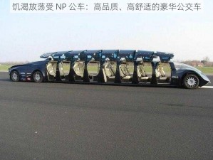 饥渴放荡受 NP 公车：高品质、高舒适的豪华公交车