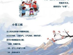 小雪阿文：全部章节免费阅读——带你领略精彩故事