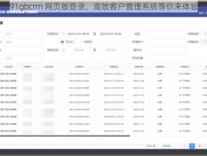 91gbcrm 网页版登录，高效客户管理系统等你来体验