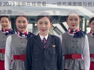 空乘 2023 法版在线观看：一场充满激情与挑战的职业之旅