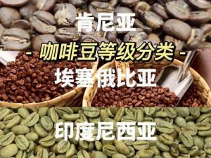 麻豆一二三产区的区别在于其特点和优势各不相同