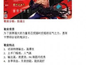 DNF复仇者国服上线时间揭秘，深度解析复仇者职业技能全面介绍