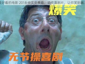 最好看的电影 2018 中文免费看，动作喜剧片，让你笑到飙泪