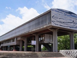 日本顶级艺术类大学的魅力与特色