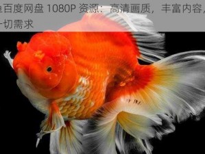 张金鱼百度网盘 1080P 资源：高清画质，丰富内容，满足你的一切需求