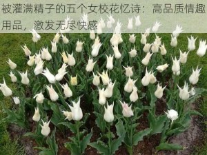 被灌满精子的五个女校花忆诗：高品质情趣用品，激发无尽快感