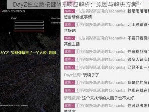 DayZ独立版按键M无响应解析：原因与解决方案