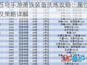 斗破苍穹手游萧族装备洗炼攻略：属性优先选择及策略详解