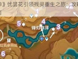 《原神》忧昙花引领残灵重生之旅：攻略详解与指南