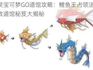 精灵宝可梦GO道馆攻略：鲤鱼王占领法——无敌道馆秘笈大揭秘