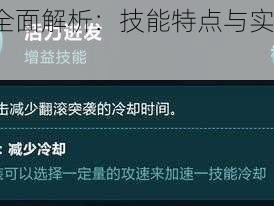 X国孟获全面解析：技能特点与实战能力探讨