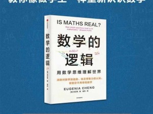 玩转数学逻辑：等式成立的智慧探寻与实践挑战