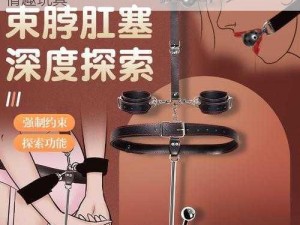 女人被狂躁 60 分钟视频：体验极致快感的情趣玩具