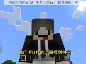 网易我的世界 18+ 手游入口 ios：探索神秘世界