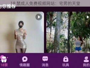 18 禁成人免费视频网站：宅男的天堂