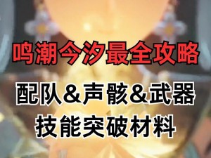 鸣潮白芷声骸武器搭配与养成策略全面指南：最佳武器配队攻略揭秘