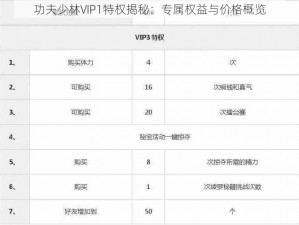 功夫少林VIP1特权揭秘：专属权益与价格概览