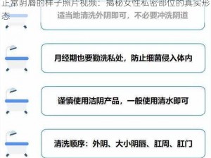 正常阴脣的样子照片视频：揭秘女性私密部位的真实形态