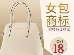 91com 品牌女包，时尚与实用的完美结合