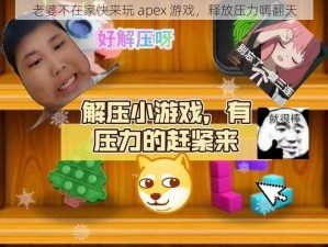 老婆不在家快来玩 apex 游戏，释放压力嗨翻天