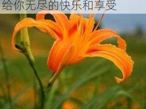 久久精品国产亚洲 AV 忘忧草 18，高品质成人影片，带给你无尽的快乐和享受