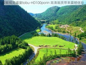 极致视觉盛宴tobu-HD100porin 高清画质带来震撼体验