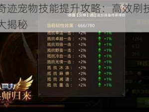 全民奇迹宠物技能提升攻略：高效刷技能点秘诀大揭秘