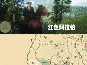 荒野大镖客2马肉大餐土库曼马获取攻略：全程指南教你如何驯服优质马匹