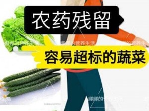 学生的妈妈牌放心菜，自家种的，不打农药，没有添加剂，营养丰富，安全健康