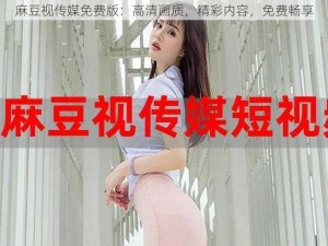 麻豆视传媒免费版：高清画质，精彩内容，免费畅享