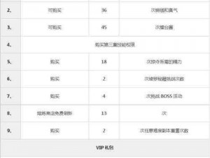 关于功夫少林VIP9特权及价格详解的拟建议