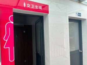 中国精品女厕 toilet22，时尚与实用的完美结合