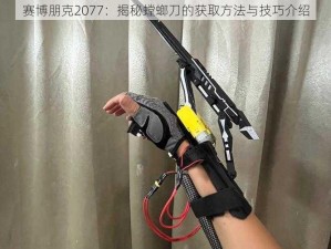 赛博朋克2077：揭秘螳螂刀的获取方法与技巧介绍