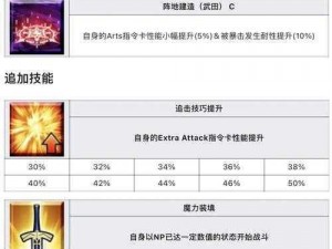 FGO永仓新技能宝具深度解析：强度特性与实战表现