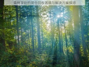 森林深处的筒仓回收困境与解决方案探寻