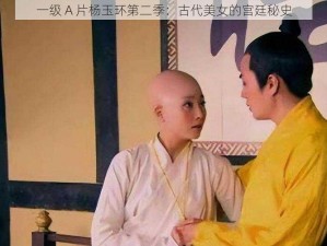 一级 A 片杨玉环第二季：古代美女的宫廷秘史