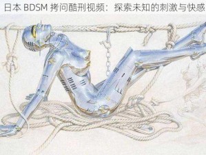 日本 BDSM 拷问酷刑视频：探索未知的刺激与快感