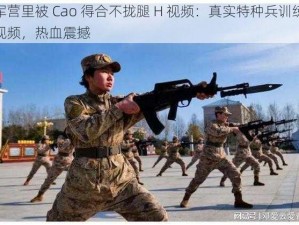 军营里被 Cao 得合不拢腿 H 视频：真实特种兵训练视频，热血震撼