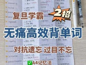 官方正版坐在学霸的鸡上背单词双楠，提升词汇量的神奇好物